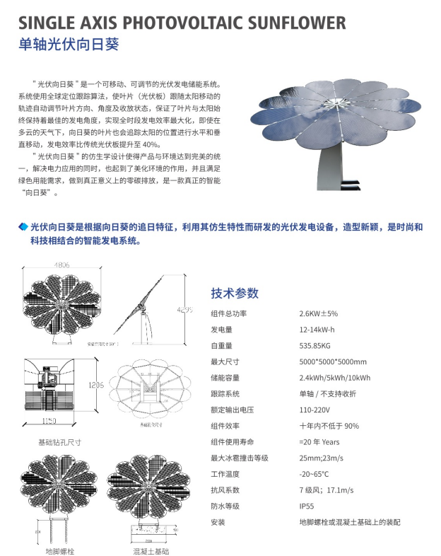 向阳而生，码头上开出“太阳花”